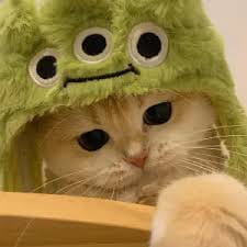 اقرا عزیز avatar