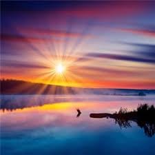 محمد عباس avatar