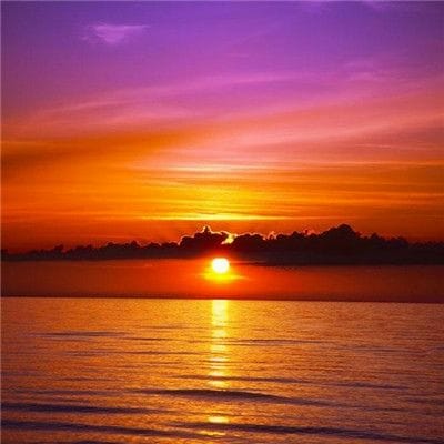 آغا علی_1 avatar