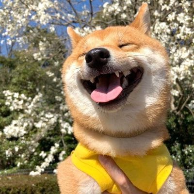 ارسلان نصیر avatar